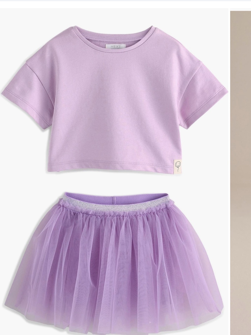 next Lavender Crop Tee and Lilac Tulle Skirt Set
